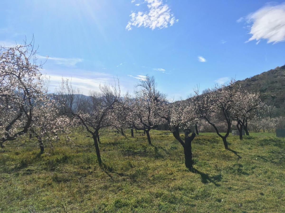 Apartamento El Refugio De Mecina Mecina Fondales Kültér fotó