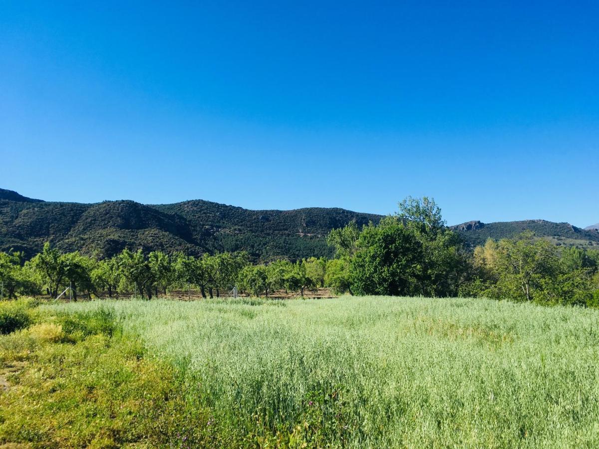 Apartamento El Refugio De Mecina Mecina Fondales Kültér fotó