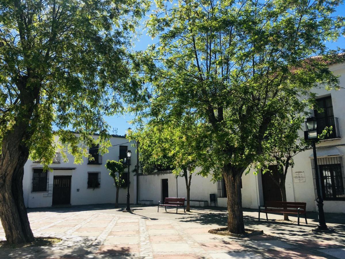 Apartamento El Refugio De Mecina Mecina Fondales Kültér fotó