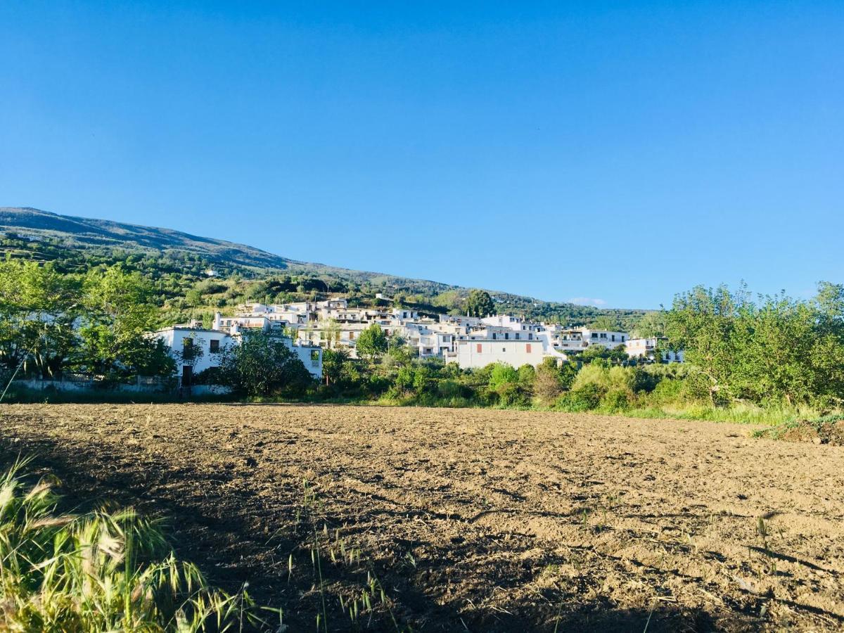 Apartamento El Refugio De Mecina Mecina Fondales Kültér fotó